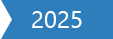 Year 2025